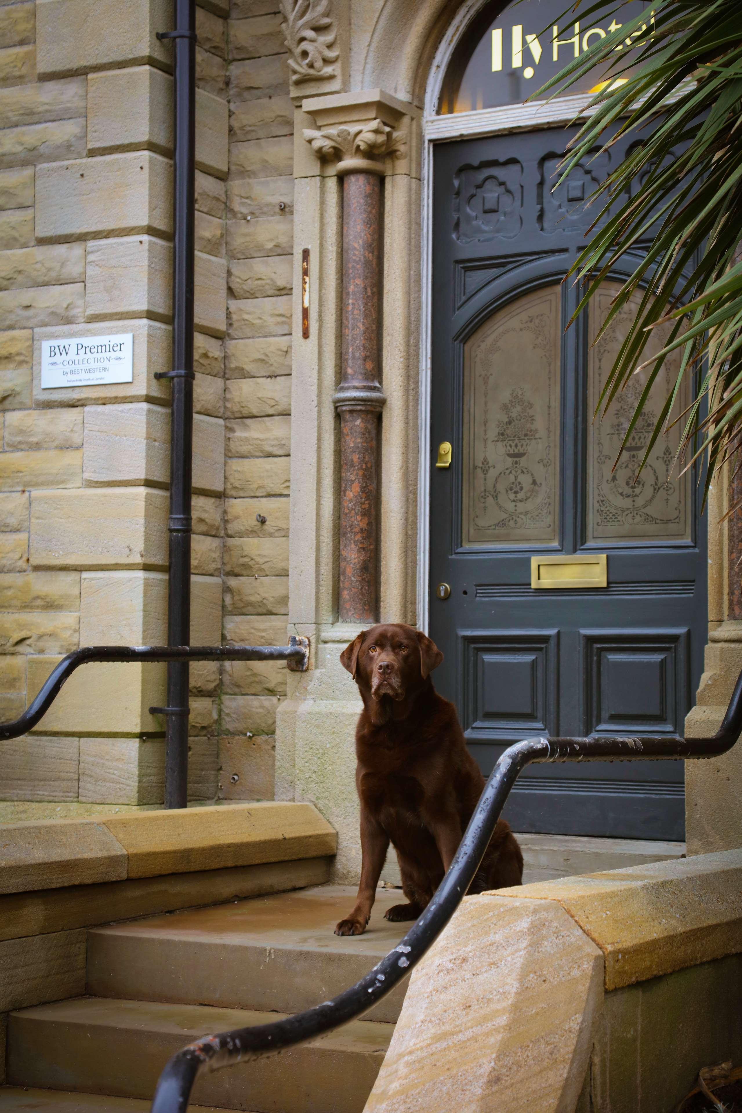 Hy Lytham St Anne'S Aparthotel Lytham St Annes Exterior foto A dog guards the entrance to the house